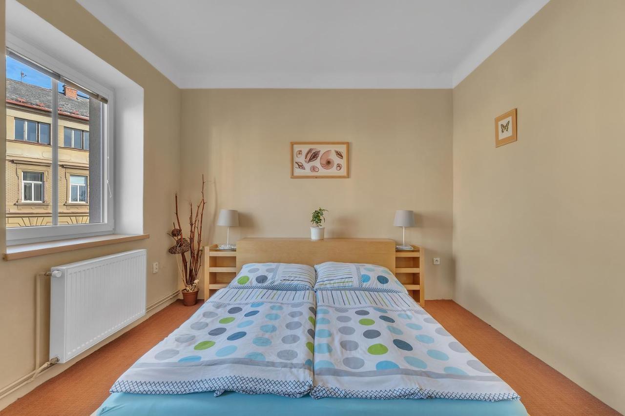 Apartman U Javorky Lázně Bělohrad 外观 照片
